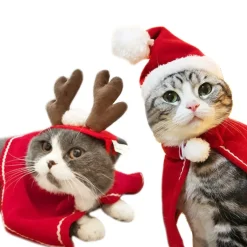 Bonnet De Noël Chat