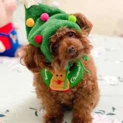 Bonnet De Noël Pour Chien