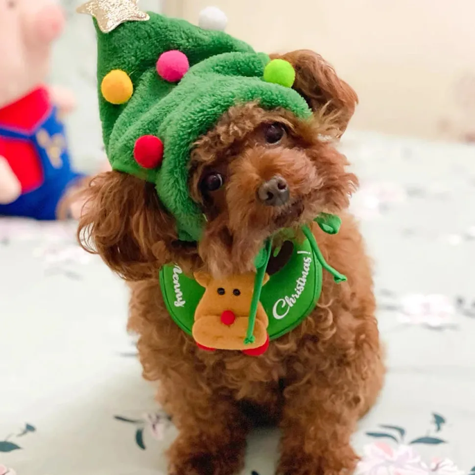 Bonnet De Noël Pour Chien