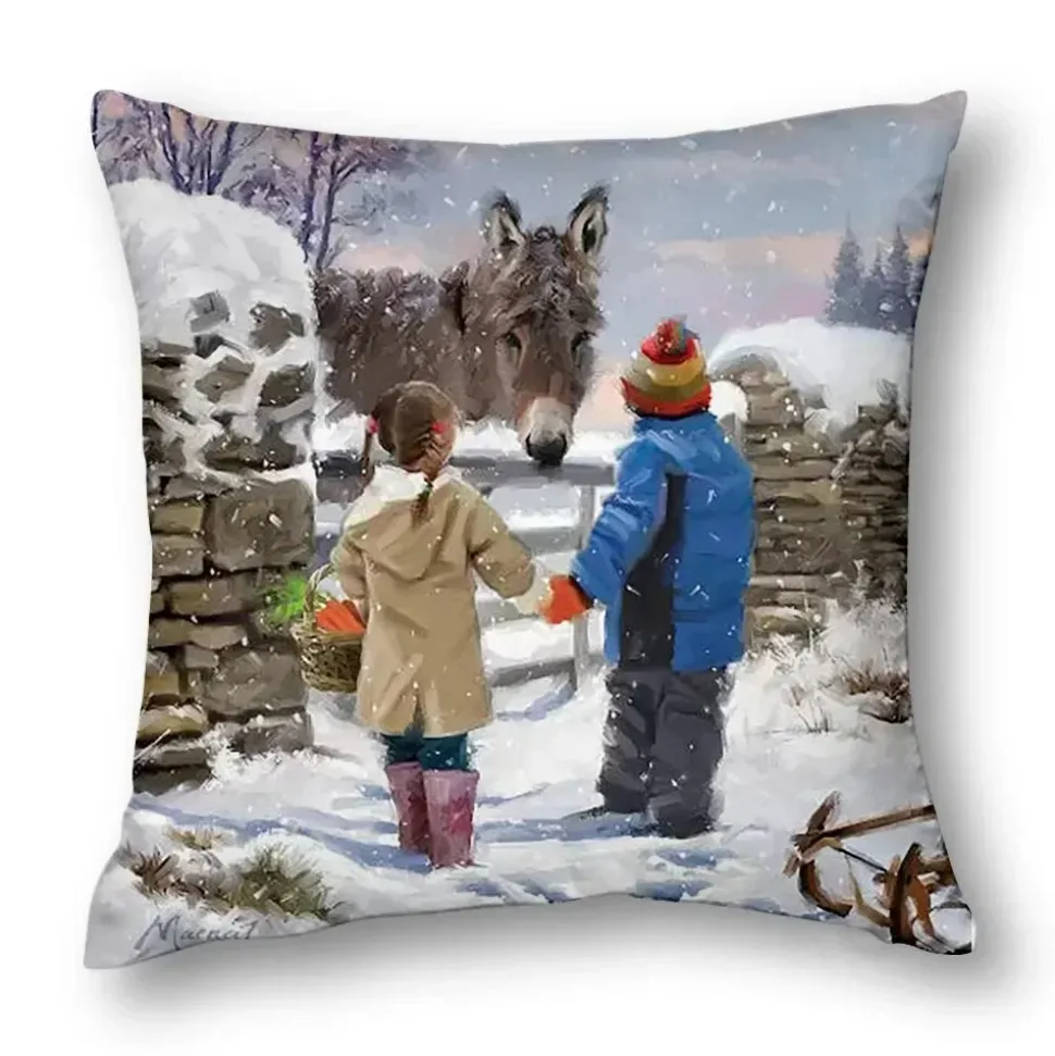 Housse De Coussin 60 X 60